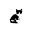 Icono de programa: C.A.T. PDF to Image Conve…