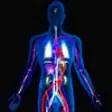 Icon of program: The Body - Human Anatomy …