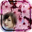 Icon of program: Cherry Blossom Photo Fram…