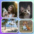 Icon of program: Colagem de Fotos e Montag…
