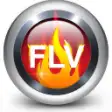 Icon of program: 4Videosoft FLV to DVD Con…