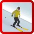 Icon of program: Alpine Ski 3D