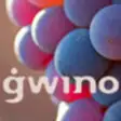 Icon of program: gwino Weinhandel