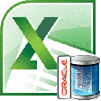Icon of program: Excel Oracle Import, Expo…