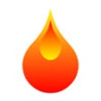 Icon of program: FlowPerf Perfusion Calcul…