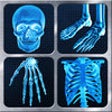 Icon of program: X-Ray Full Body Prank