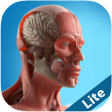 Icon of program: Anatomy Game Anatomicus