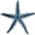 Icon of program: StarFisher