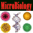 Icon of program: Basic Microbiology