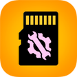 Icon of program: Repair SD Card