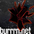Icon of program: Burrrn