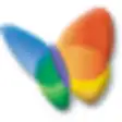 Icon of program: MSN Explorer