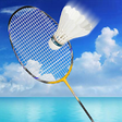 Icon of program: Badminton Challenge Pro 3…