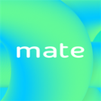 Icon of program: Mate Translate: Select an…