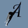 Icon of program: Acrobatic Arts