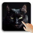 Icon of program: Cute Black Cat Live Wallp…