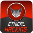 Icon of program: SpyFox - Ethical Hacking …