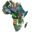Icon of program: Investment for Africa for…