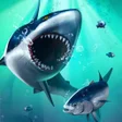 Icon of program: Fish Grow and Evolution