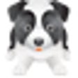 Icono de programa: Pet Listing Script