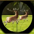 Icon of program: Extreme Deer Hunting Adve…