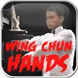 Icon of program: Wing Chun Hands