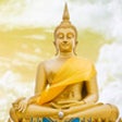 Icon of program: 500+ Buddha Quotes - With…