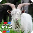 Icon of program: Goat Transport Simulator …