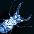 Icon of program: Easy XRAY Cam