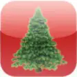 Icon of program: Christmas 3D