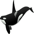 Icon of program: Whale Sound