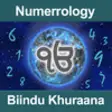 Icon of program: Numerology by Biindu Khur…