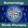 Icon of program: Numerology by Biindu Khur…