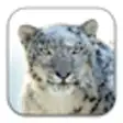 Icon of program: Apple Mac OS X Snow Leopa…