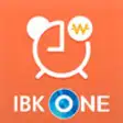 Icon of program: IBK ONE
