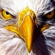 Icon of program: EagleEyes: Camera Securit…