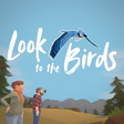 Icono de programa: Look to the Birds