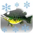 Icon of program: How To Ice Fish And Do It…