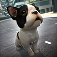 Icon of program: Puppy John's | Dog Runner…