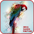 Icono de programa: 150+ Birds Sounds and Rin…