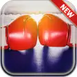 Icon of program: Boxing Wallpapers