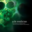 Icon of program: Yale Medicine