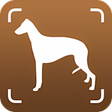 Icono de programa: Dog Bread Identifier: Dog…