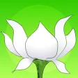 Icon of program: Lotus Bud Mindfulness Bel…