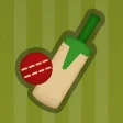Icon of program: Village Cricket
