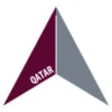 Icon of program: Air Sonar for Qatar Airwa…