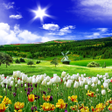 Icon of program: Spring Nature Live Wallpa…