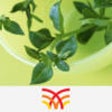 Icon of program: Medicinal Plants Database