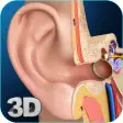 Icon of program: My Ear Anatomy
