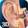 Icon of program: My Ear Anatomy